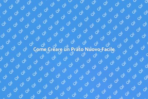 Piantare un Prato Nuovo con Successo