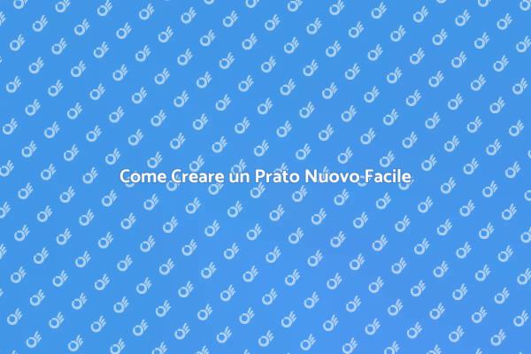 Prato Nuovo: Guida alla Creazione