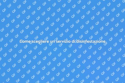Servizio di disinfestazione efficace