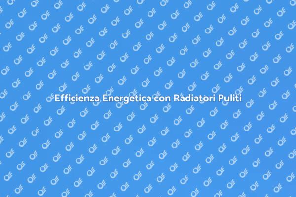 Radiatori Puliti per Casa Salubre