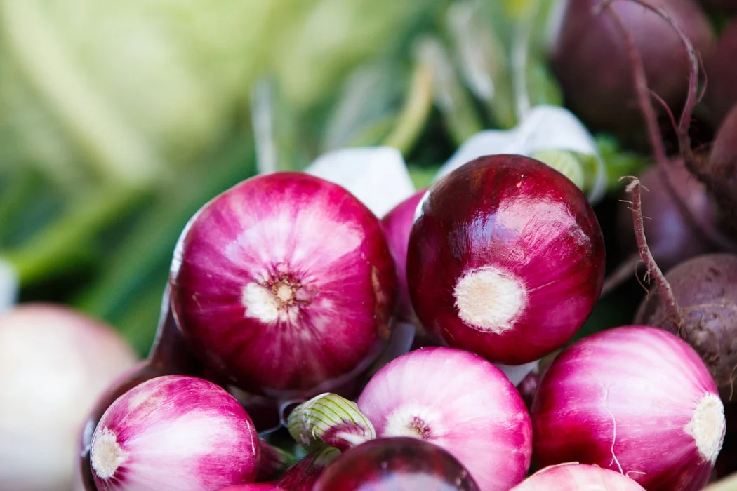 alimenti cipolla