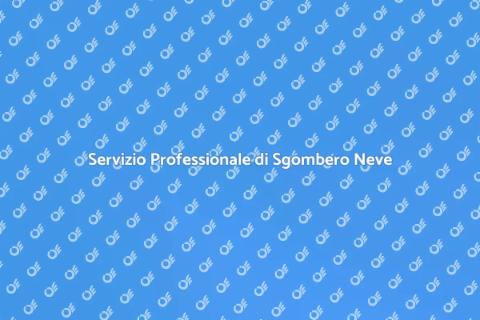 Sgombero Neve Affidabile in Città