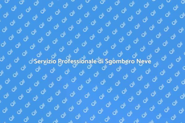 Sgombero Neve: Sicurezza e Affidabilità