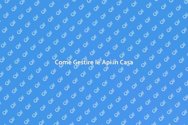 Gestire le Api in Casa in Sicurezza