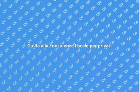 Consulenza fiscale per privati: guida