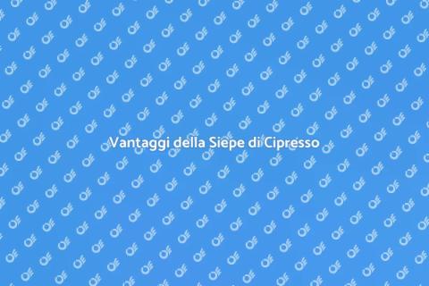 Siepe di Cipresso: Bellezza e Privacy