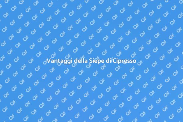 Cipresso: Privacy e Stile nel Giardino