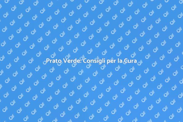 Prato Perfetto: Come Tagliarlo Bene