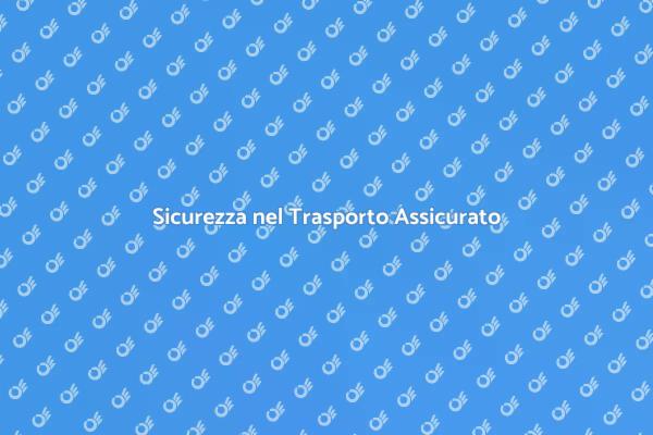 Garantisci un Trasporto Sicuro
