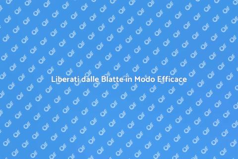 Servizio Personalizzato contro le Blatte