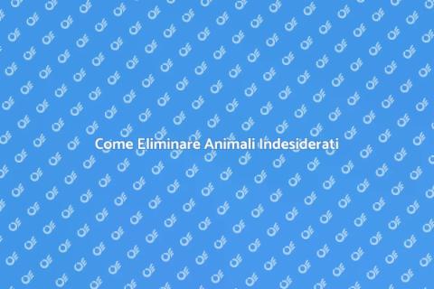 Liberarsi da Animali Indesiderati