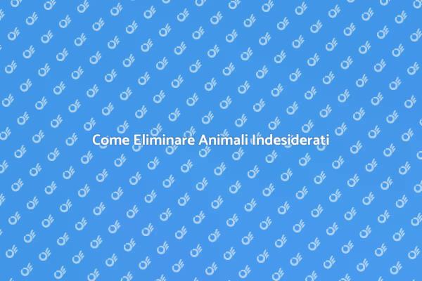 Soluzioni per Animali Indesiderati