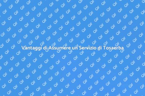 Assumere un Servizio di Tosaerba