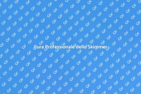 Manutenzione Skimmer Professionale