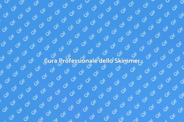 Importanza della Manutenzione Skimmer