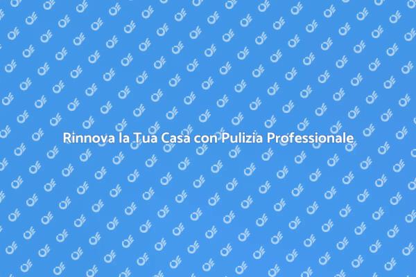 Pulizia Professionale per Ogni Casa