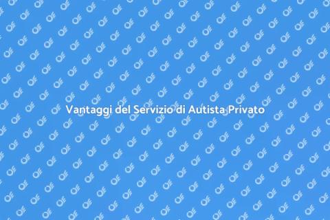 Servizio di Autista Privato Completo