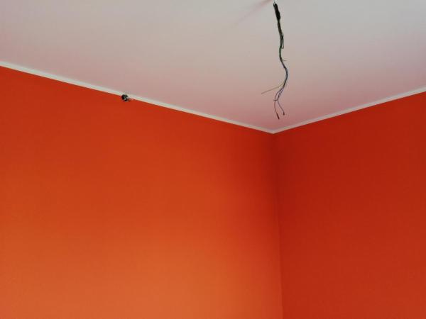 Treviso - Foto 5