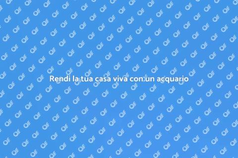Acquario di plastica: natura in casa