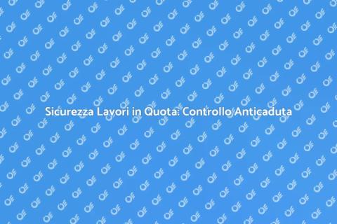 Controllo Annuale Sistemi Anticaduta