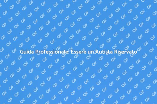 Riservatezza e Professionalità per Autisti