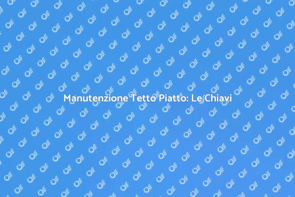 Come Pulire un Tetto Piatto Efficacemente