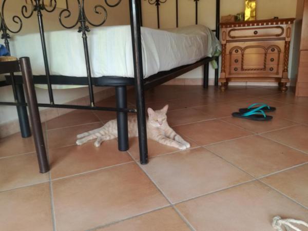Benedetta - Foto 3