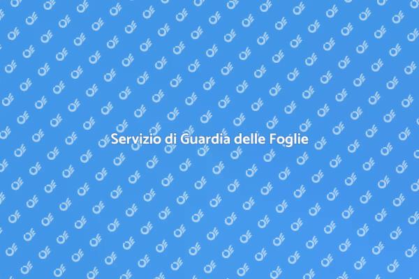 Mantieni il Giardino con la Guardia delle Foglie