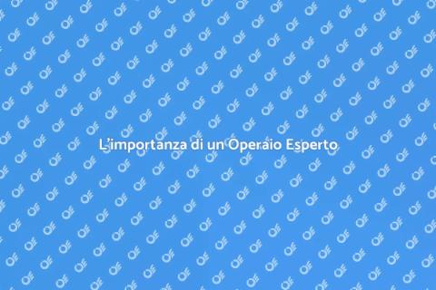 Un Operaio per Ristrutturazioni Eccellenti