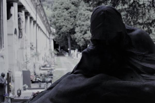 Altre attività di riprese fotografiche - Foto 7