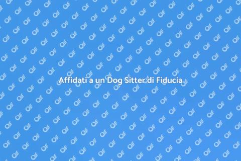 Dog Sitter: La Scelta Ideale per Te