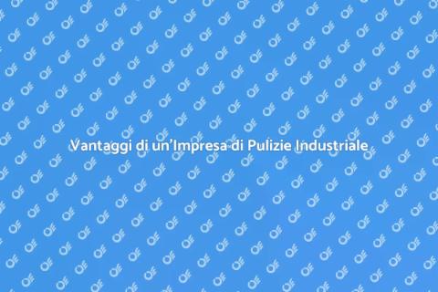 Impresa di Pulizie per Strutture Industriali