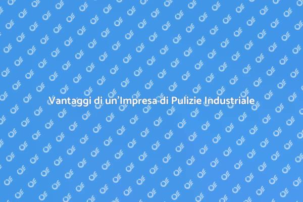 Perché Scegliere un'Impresa di Pulizie?