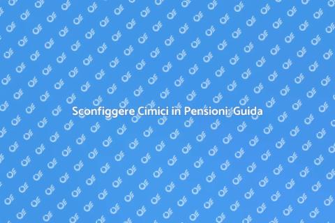 Disinfestazione Cimici in Pensioni