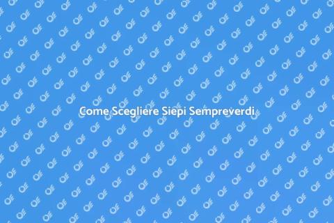 Siepi Sempreverdi per il Tuo Giardino