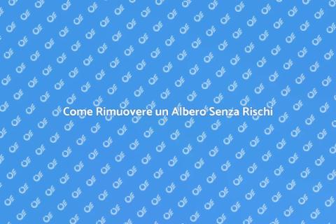 Rimuovere un Albero in Sicurezza