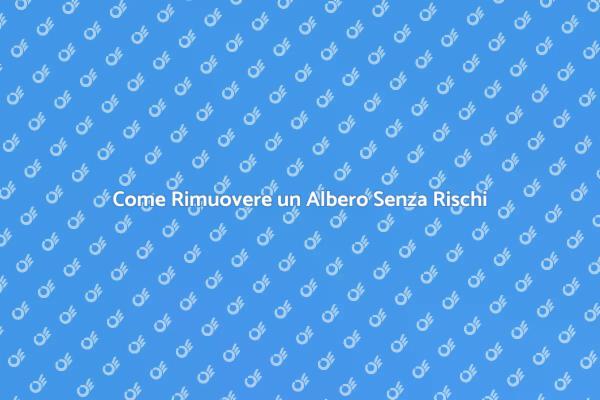 Rimozione Sicura di Alberi: Ecco Come