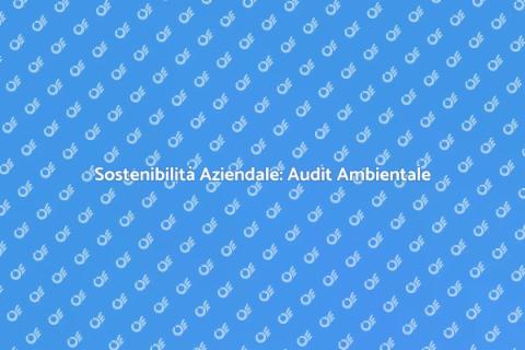 Audit Ambientale per Aziende Sostenibili