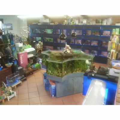 Aquarium  - Foto 6