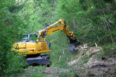 Ecorecycling Recuperi Ambientali  - Foto 3