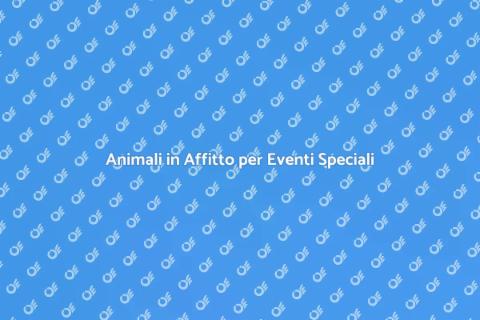 Affitto Animali per Festività Mondiali
