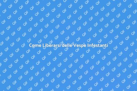 Disinfestazione Vespe: Il Nostro Metodo