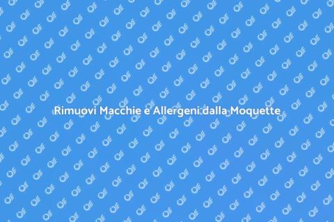 Sanificazione della Moquette Professionale