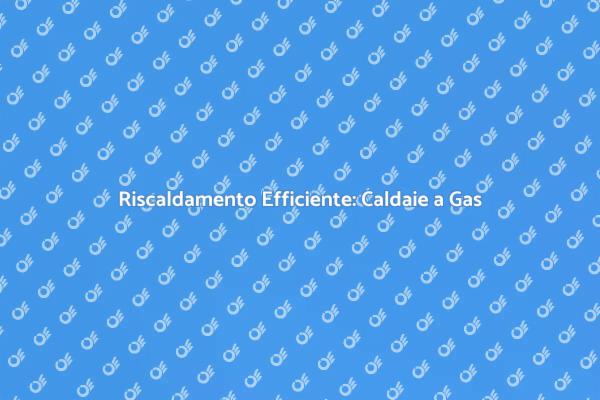 Caldaie a Gas: Comfort e Risparmio