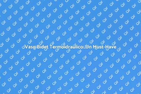 Vaso Bidet Termoidraulico: Comfort e Design