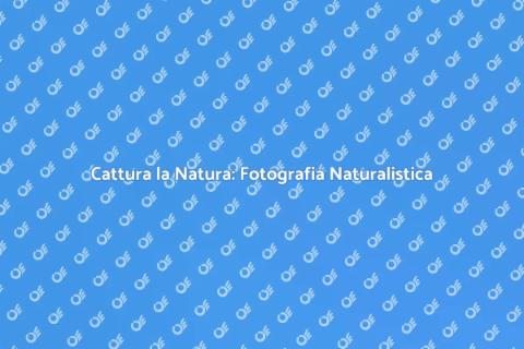 Fotografia Naturalistica: Bellezza in Immagini