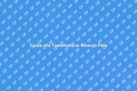 Ritoccare il Pelo: Toelettatura Perfetta