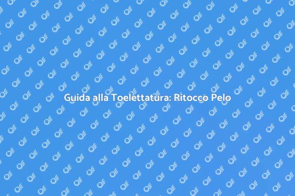 Cura Perfetta del Pelo: Toelettatura