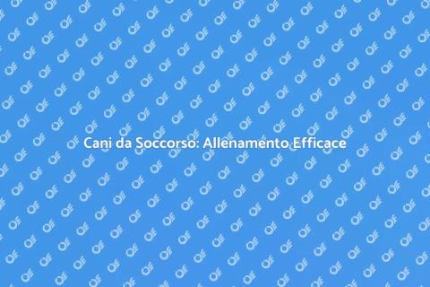 Allenamento Cani Disaster Response