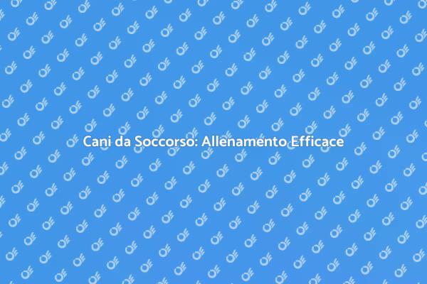 Allenamento Efficace dei Cani da Soccorso